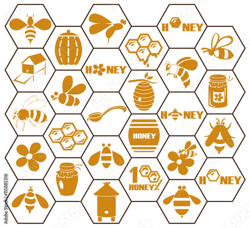 icons bee and honey in comb