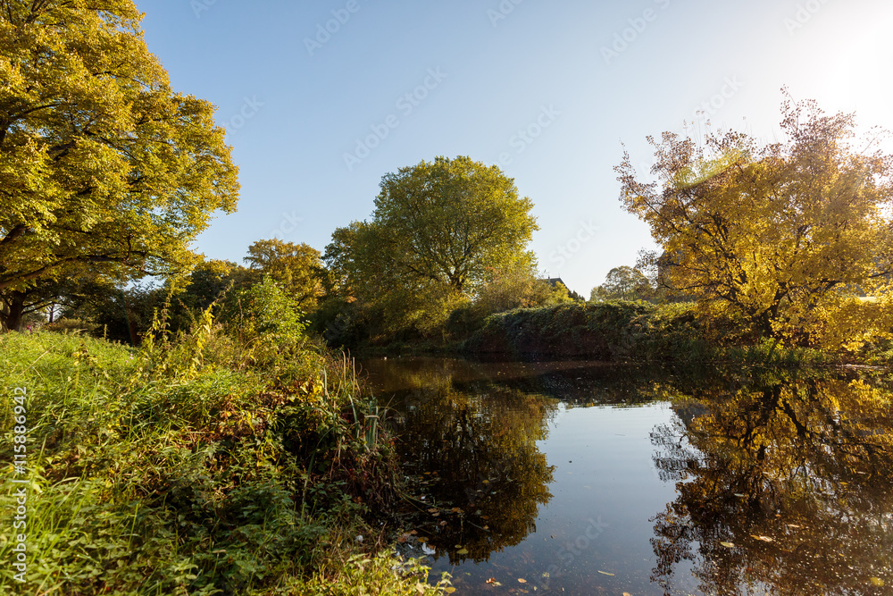 Beautiful Autumn Colors at Creek