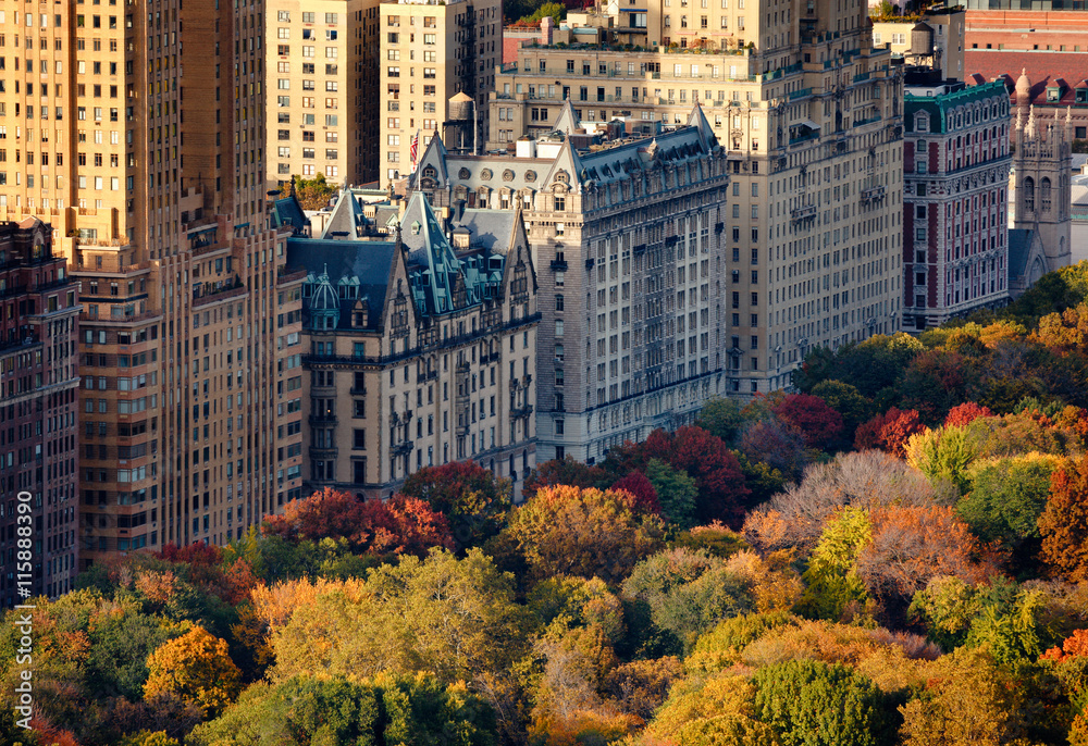 Afternoon light on Central Park's treetops and New York City buildings. Upper West Side building facades and tree colors lit by the autumn sun