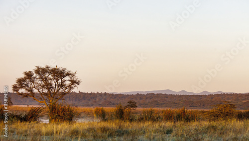 Ngong Hills in Kenya seen from Nairobi National Park
