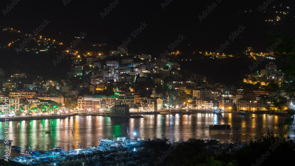 Rapallo, Italy by night - aerial picture