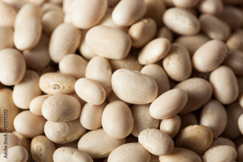 Raw Organic White Navy Beans