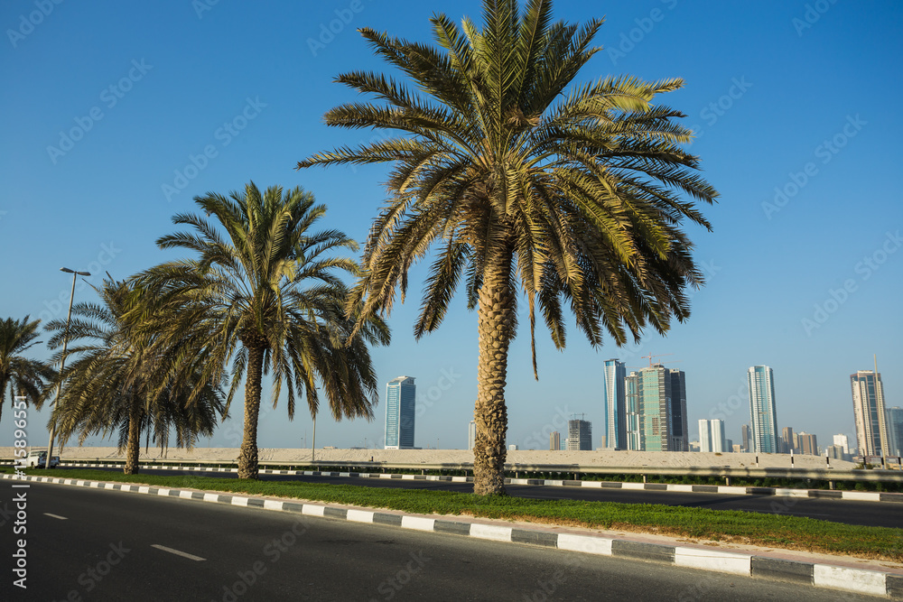 Fototapeta premium General view of modern buildings in Sharjah