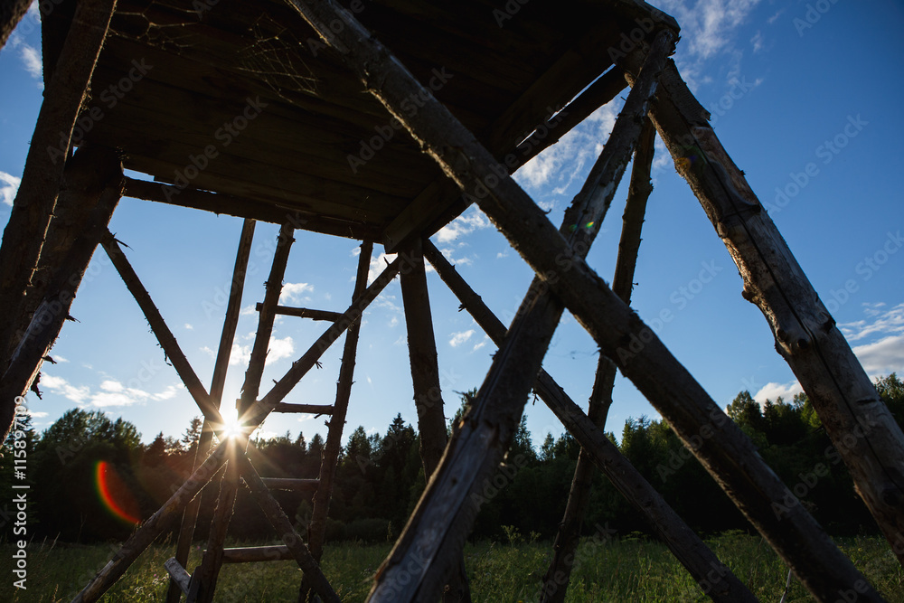 Raised shed hunting for deer in the middle of a forest of poplars. Wooden hunters high seat hunters tower Raised shed hunting for deer in the middle of a forest of poplars. Wooden hunters high seat hunters tower