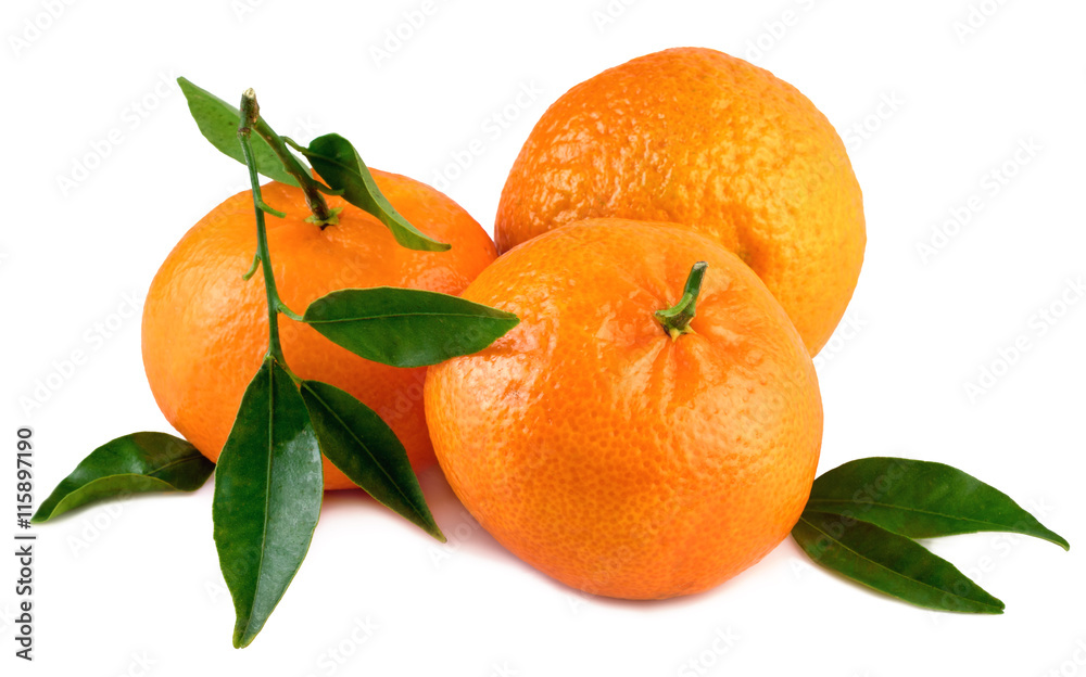 mandarins tangerines fresh organic fruits with leaves on white mandarins tangerines fresh organic fruits with leaves on white