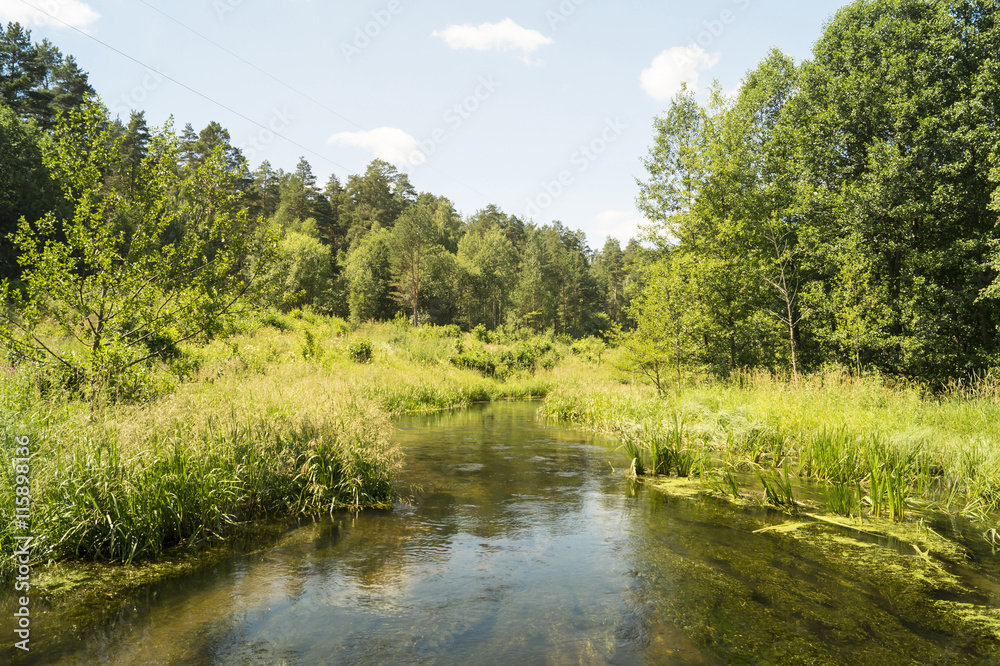 Year landscape with stream on background sky