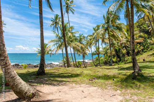 Coast of Bahia, Brazil