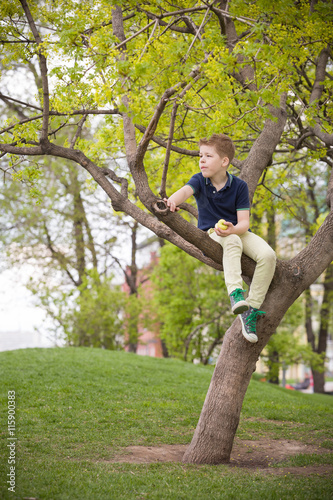 Cute kid boy sitting on the big tree and eating apple in the park on a spring or summer day. Child climbing the tree in the city garden. Active boy having snack in the park.