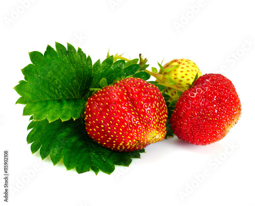 Tasty Sweet Strawberry Isolated on White Background
