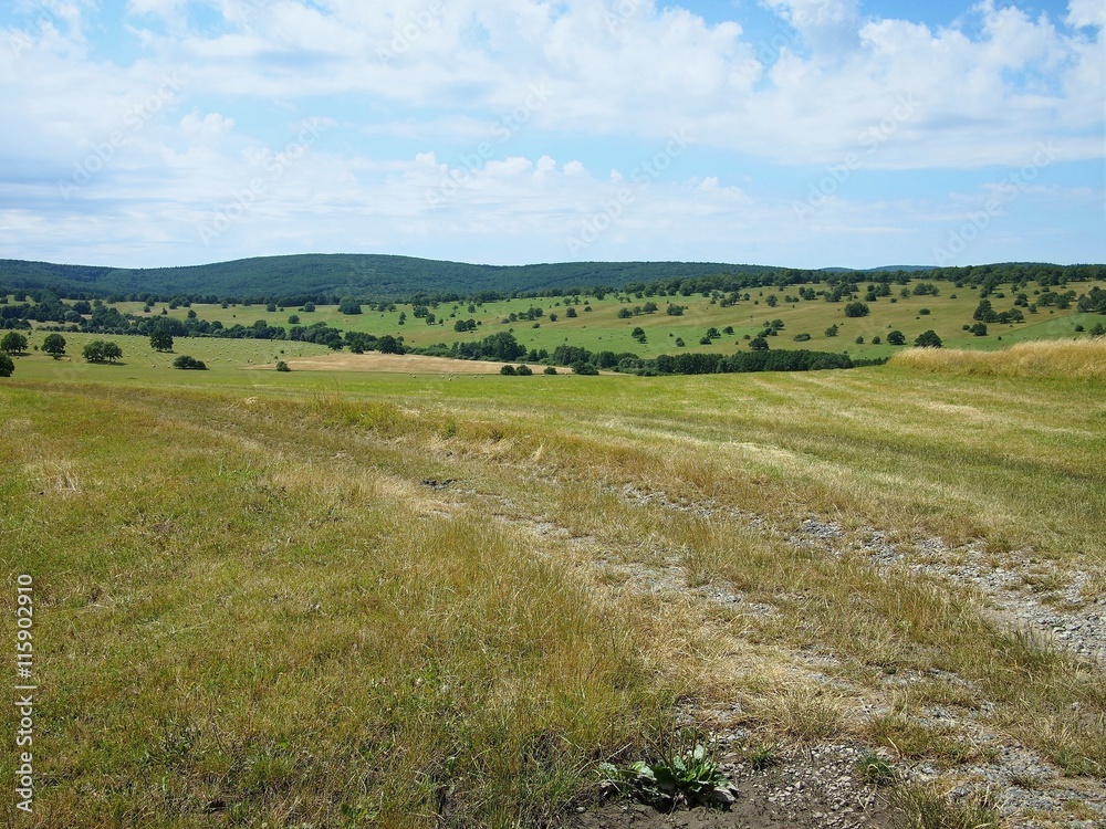 Traditional czech landscape - meadows in the White Carpathians protected landscape area.