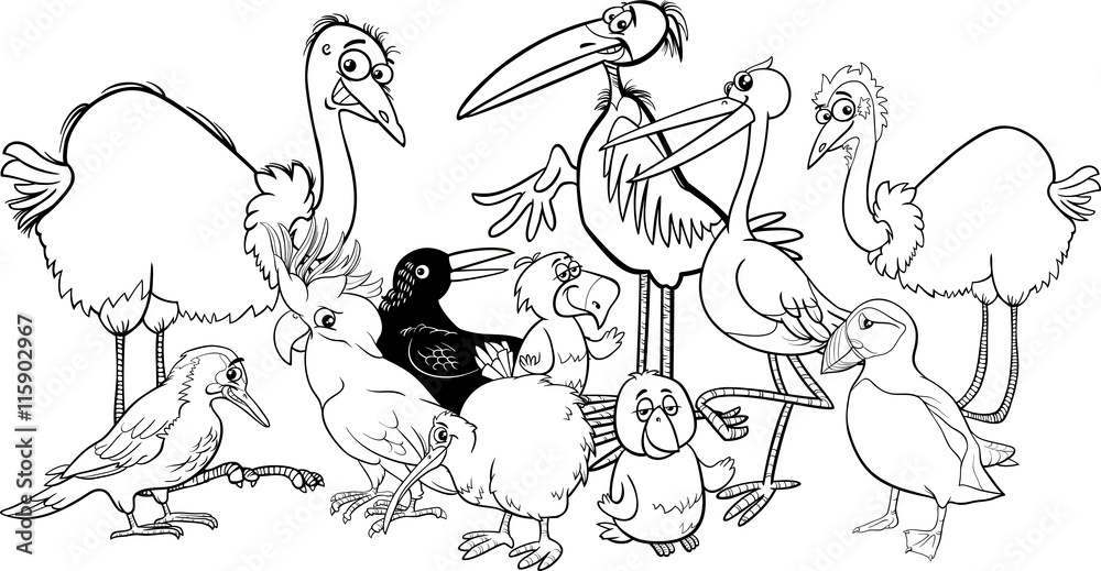 birds group coloring book birds group coloring book