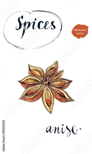 Star anise spice fruit and seeds