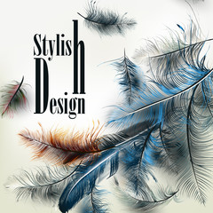 Creative vector background with blue feathers and signature styl
