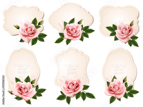 Collection of retro greeting cards with pink roses. Vector illus