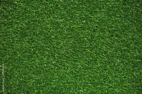 Green lawn texture, background of green grass