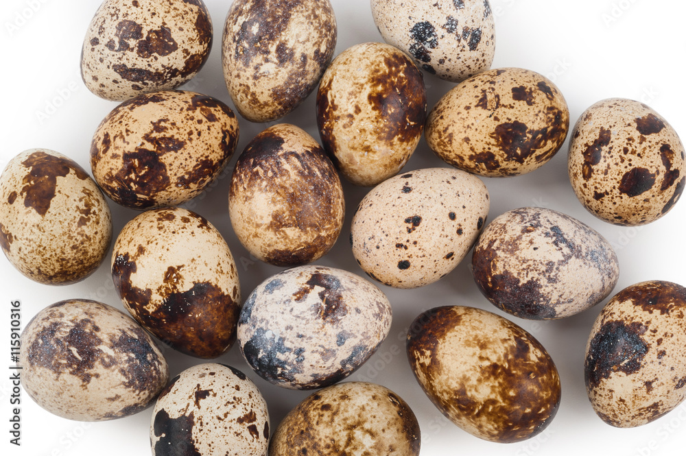 Quail eggs Quail eggs