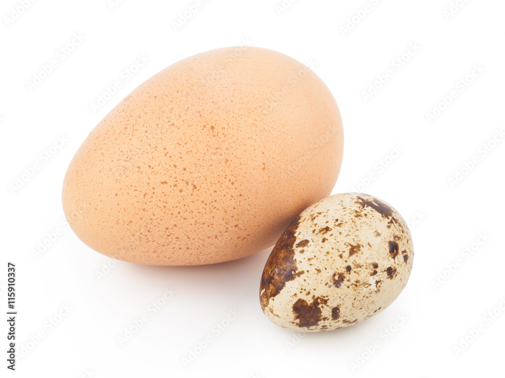 chicken eggs and quail eggs chicken eggs and quail eggs