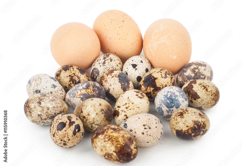 chicken eggs and quail eggs