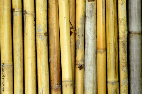 Bamboo fence wall
