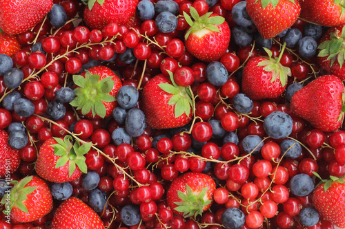 Berries background. Different summer fresh berries - strawberries  blueberries and red currants.