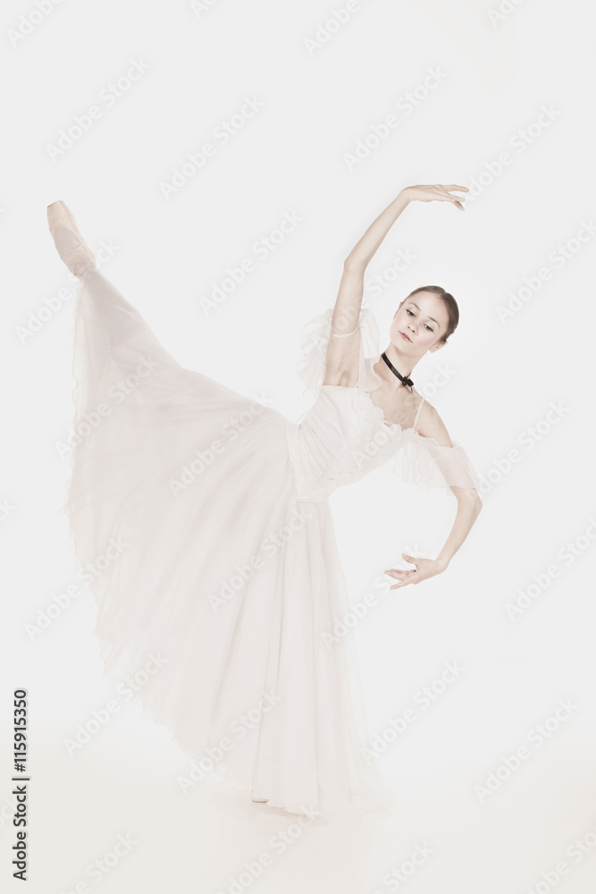Romantic Beauty. Retro Style ballerinas Romantic Beauty. Retro Style ballerinas