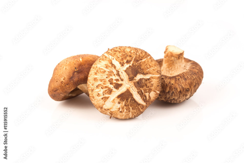 fresh Shiitake mushroom on white fresh Shiitake mushroom on white