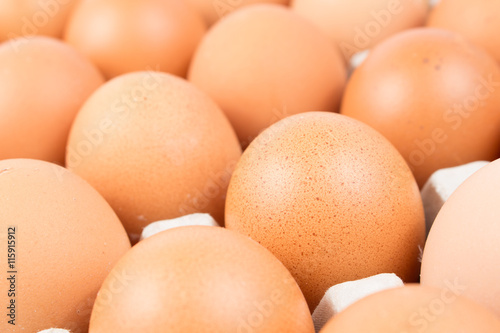 close up row of fresh egg