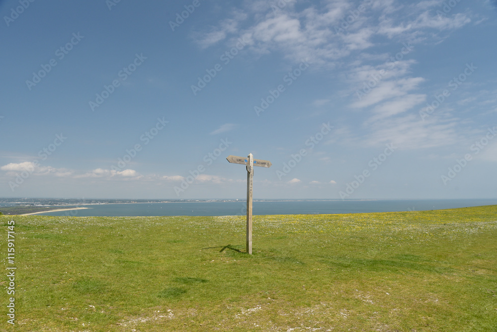 Obraz premium Signpost on path above Corfe Castle, Dorset