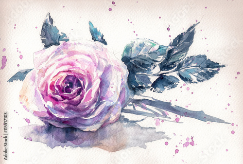 Pink rose watercolor hand-painted,retro style.