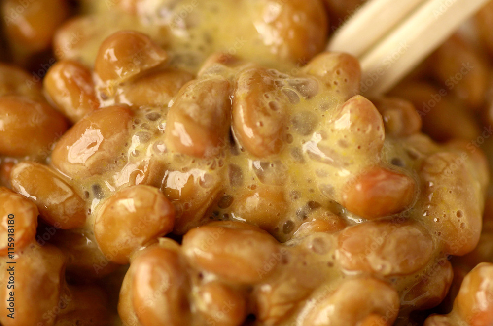 fermented soybeans fermented soybeans