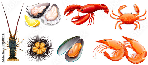 Set of fresh seafood