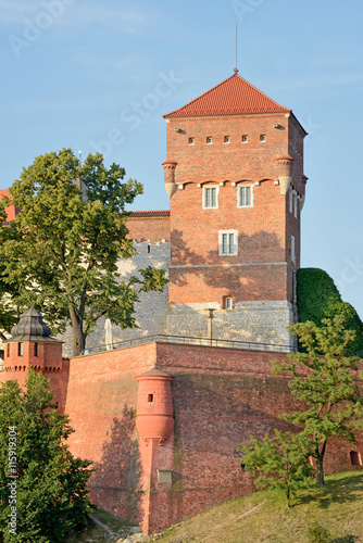 Wawel Royal Castle #115919304