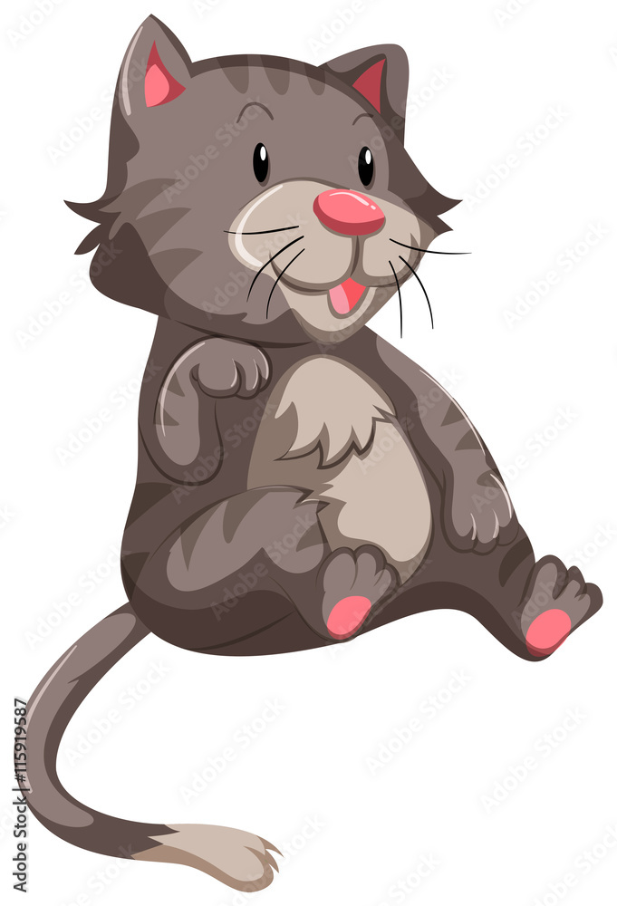 Obraz premium Cute cat with gray fur