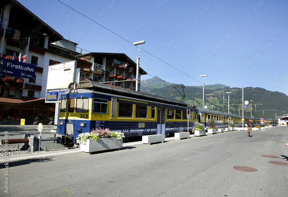 Narrow-gauge mountain railways, Zweilutschi