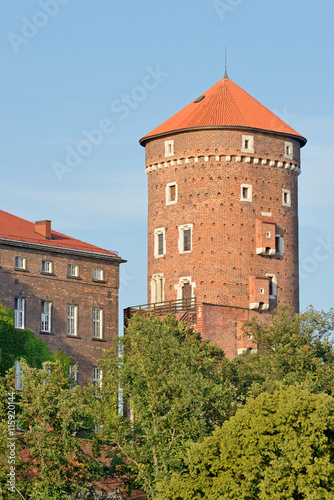 Wawel Royal Castle #115920144