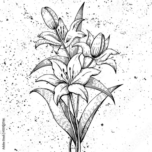 Graphic arts lilies on grunge background