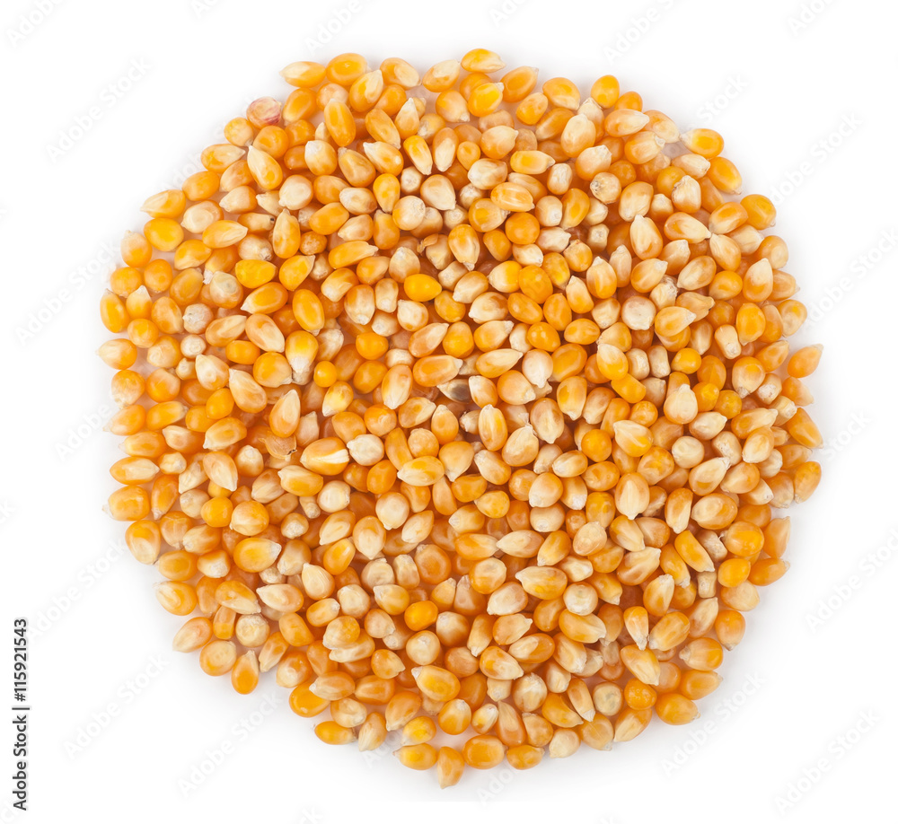 Corn seeds Corn seeds