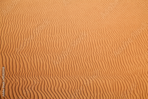 Red sand desert