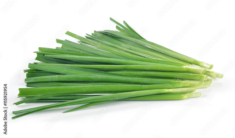 Garlic chives isolated on white background Garlic chives isolated on white background