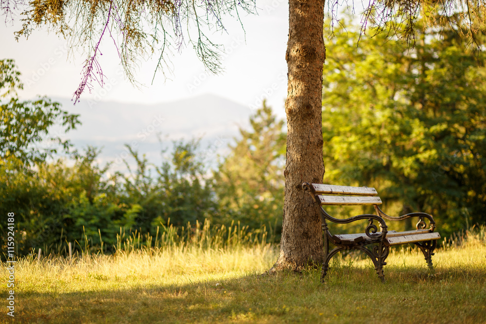 Bench with beautiful sight