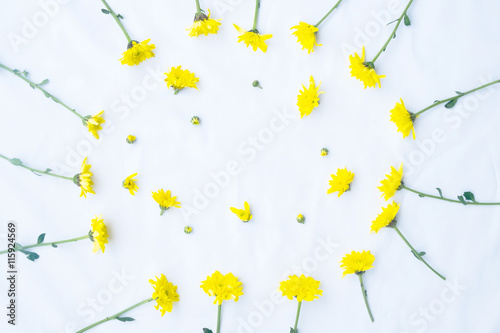 Colorful pattern yellow flowers on white background, leaves. photo