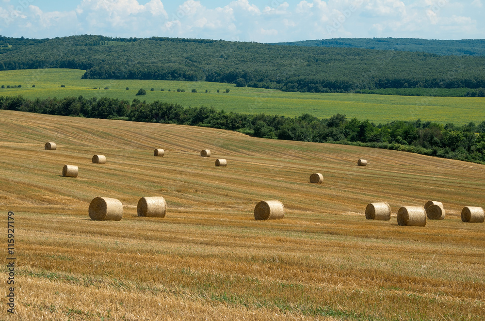 Levels with bales.