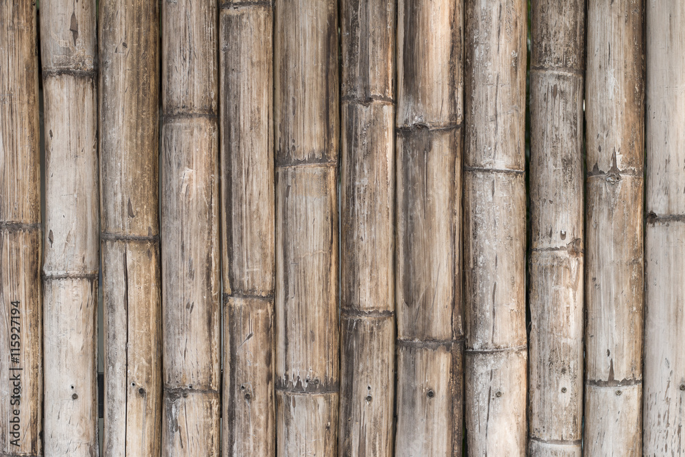 bamboo background bamboo background