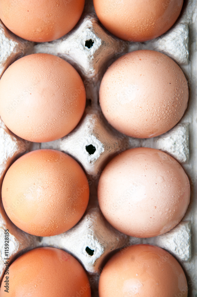 The image of eggs. The image of eggs.