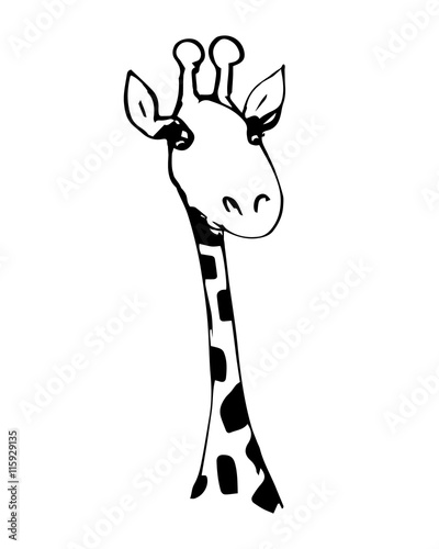 Cute giraffe with long eyelashes