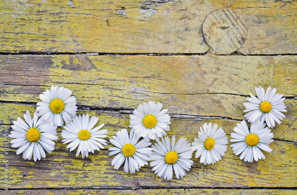 Obraz premium Plank and flower