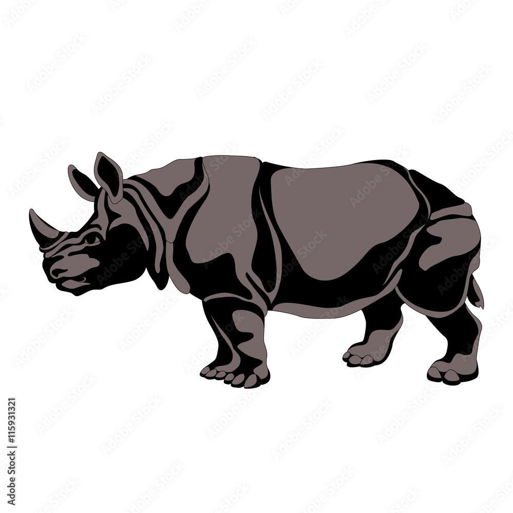 Fototapeta premium adult black gray rhino silhouette