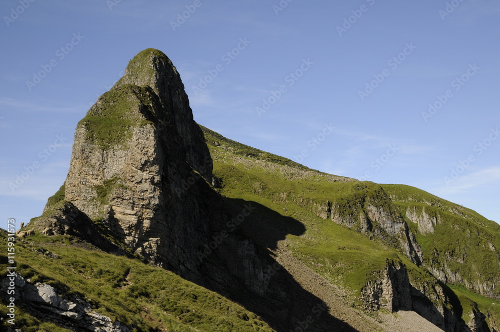 Forstberg Forstberg