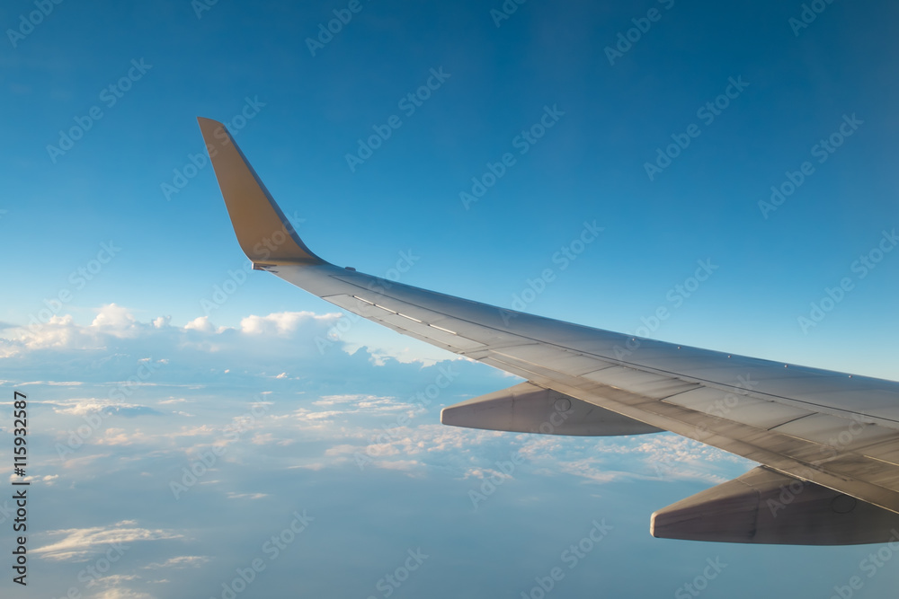 Obraz premium View from Airplane window