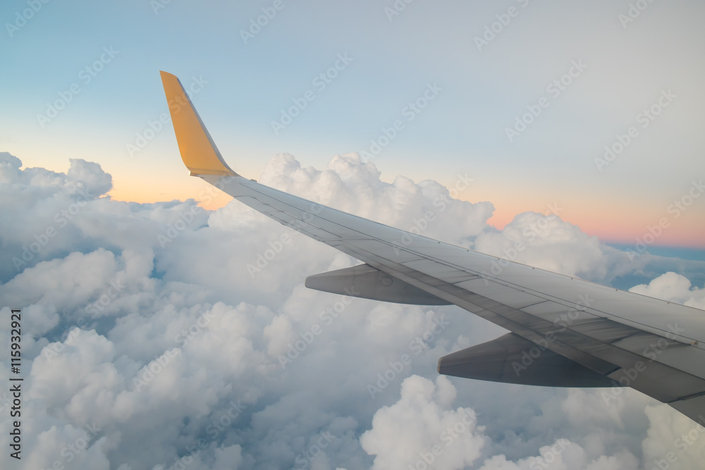 Fototapeta premium View from Airplane window